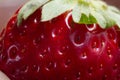 Red berry strawberry closeup isolated on white background Royalty Free Stock Photo