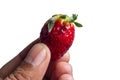 Red berry strawberry in hand isolated on white background Royalty Free Stock Photo