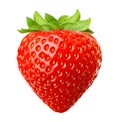 Red berry strawberry Royalty Free Stock Photo