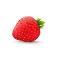 Red berry, Strawberry realistic illustration, isolated on white background Royalty Free Stock Photo