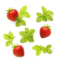 Red berry strawberry Royalty Free Stock Photo