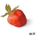 Red berry strawberry on white background. Vector