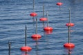 Red berthing buoys on blue water Royalty Free Stock Photo