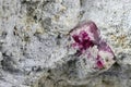 Red beryl Royalty Free Stock Photo