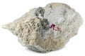 Red beryl Royalty Free Stock Photo