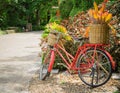 Red bicycle in the darden