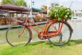 Red bicycle on green grass Royalty Free Stock Photo