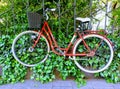 A red bicycle on a green ivy covered iron fence.