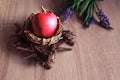 Red big apple in the nest on wooden background Royalty Free Stock Photo