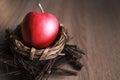 Red big apple in the nest on wooden background Royalty Free Stock Photo
