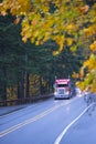 Red big rig semi truck on rain autumn forest highway Royalty Free Stock Photo