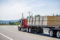 Red big rig semi truck transporting wood lumber on the flat bed semi trailer running on the turning road