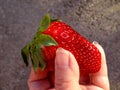 A strawberry between fingers