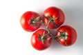 Red big tomatoes on a branch on a white background Royalty Free Stock Photo