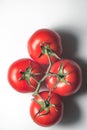 Red big tomatoes on a branch on a white background Royalty Free Stock Photo