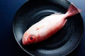 Red bigeye fish, food