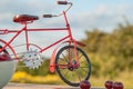 Red bike on the background of nature and berries