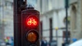 Red Bike or Cycle traffic light on the street