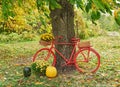 Red bike with flowers. Autumn harvest terrace background. Halloween. Country. Pumpkins and flowers. Vacation home. Thanksgiving