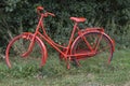 Red Bike in the Foresst