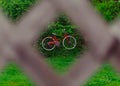 Red bike on a green plant wall background, visible through a fence Royalty Free Stock Photo