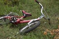 Red bike is lying on green grass in park or in garden. Tired of sports and outdoor activities