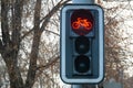 Red bike sign on a traffic light for bicycle close-up. Stop bike Royalty Free Stock Photo