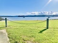 Red-billed gull standing on a wooden pole of the fence. Royalty Free Stock Photo