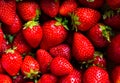 Red biological strawberry background. Many bright fresh berries with green leaves. Horizontal harvesting composition