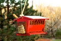 Red bird feeder Royalty Free Stock Photo