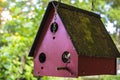 A red bird house hanging by a chain Royalty Free Stock Photo