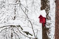 red bird house in winter forest Royalty Free Stock Photo