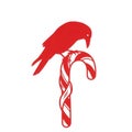 Red bird perched on a candy cane isolated on white background Royalty Free Stock Photo