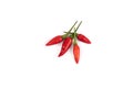 Red Bird`s eye chili ,Capsicum annuum , Thai pepper isolated on white background with clipping path