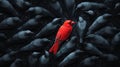Red Bird Standing Out From The Crowd. Individuality And Leadership Concept Royalty Free Stock Photo