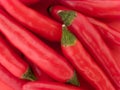 Red birdeye chilies Royalty Free Stock Photo