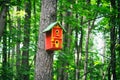 Red birdhouse on a tree Royalty Free Stock Photo