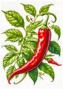 Red Birds Eye hot chilli with green leaves on white background Royalty Free Stock Photo