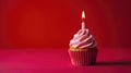 Red Birthday Cupcake with Pink Frosting and Lit Candle Royalty Free Stock Photo