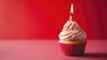 Red Birthday Cupcake with Pink Frosting and Lit Candle Royalty Free Stock Photo