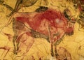 Red bison from Altamira cave