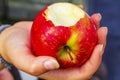 Red bitten off apple in hand Royalty Free Stock Photo