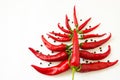 Red bitter chili pepper in the form of a christmas tree on a white clean background for text