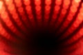 Red and black abstract dot lightburst pattern