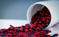 Red-black antibiotic capsule pills spill out of white plastic bottle container. Pharmaceutical industry. Prescription drug.