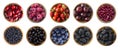 Red and black-blue food. Berries and fruits isolated on white background. Collage of different fruits and berries at green and red Royalty Free Stock Photo
