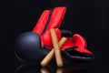 Red and black boxing gloves and luxury Cuban cigars Royalty Free Stock Photo