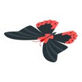 Red black butterfly icon, isometric style Royalty Free Stock Photo