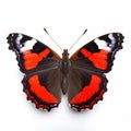 Red And Black Butterfly In The Style Of Petrina Hicks