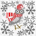 Red and black cartoon owl in striped scarf, hat in snowflex frame Royalty Free Stock Photo